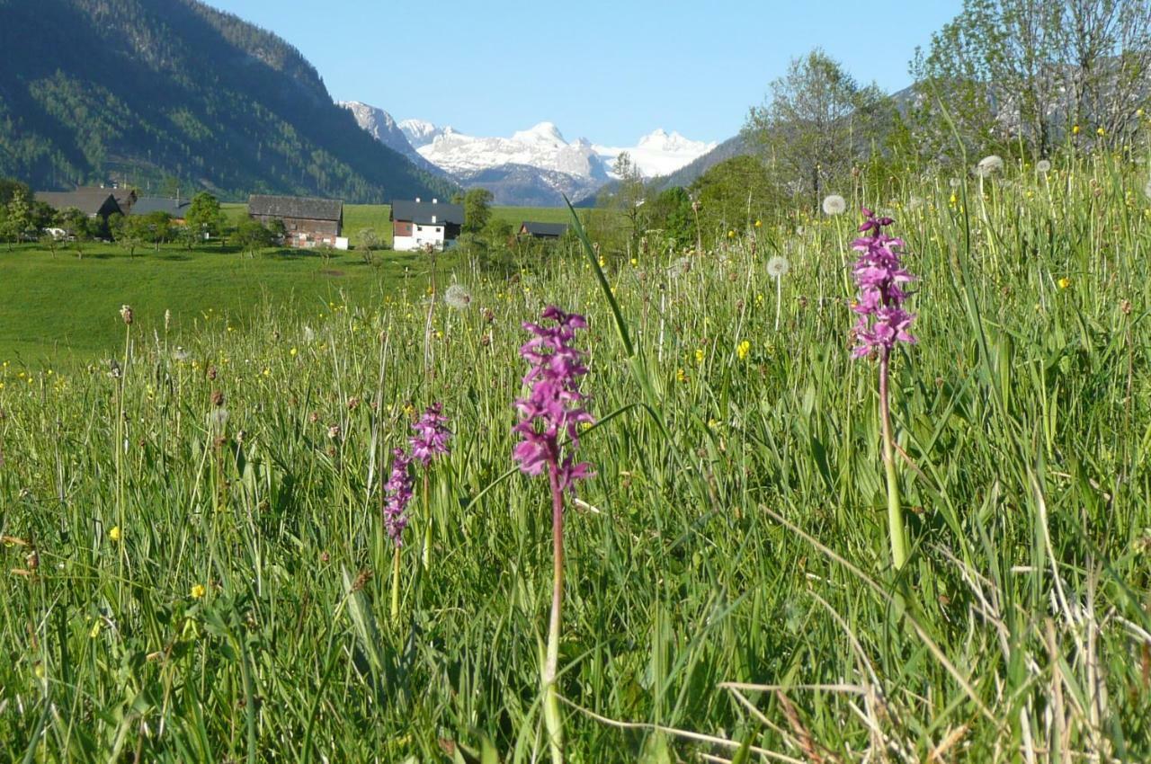 Apartmán Haus Stangl Bad Aussee Exteriér fotografie
